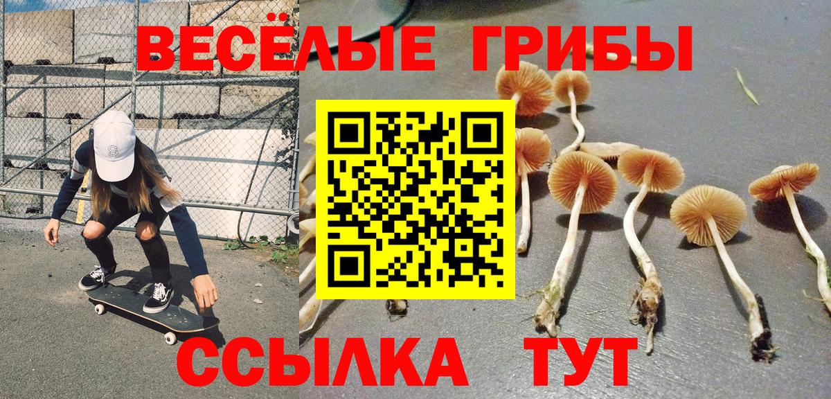 Галлюциногенные грибы Magic Shrooms Сальск