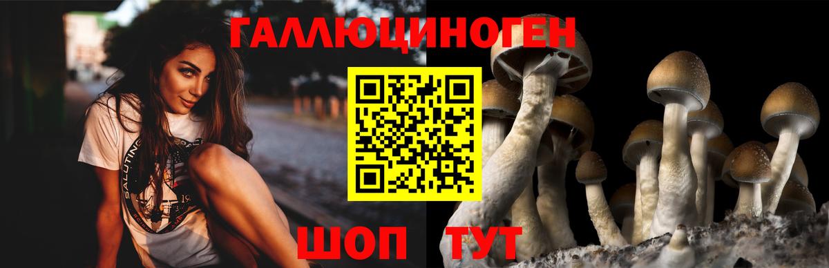 Галлюциногенные грибы MAGIC MUSHROOMS  Вход с VPN  Сальск 